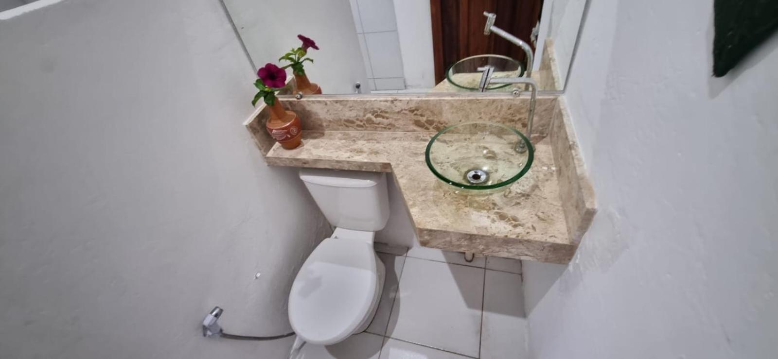 Mucha Playa Algodoes Suites マラウ エクステリア 写真